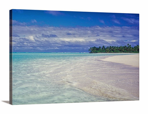 Tropical Delight Canvas Print - David Lawrence Photography