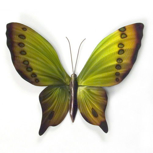 Stainless Butterfly Green, Yellow n Brown