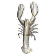 American Lobster Wall Art - MM194