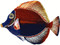 3D Metal Wall Angelfish