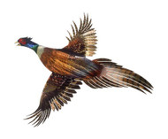 FLYING PHEASANT METAL WALL ART