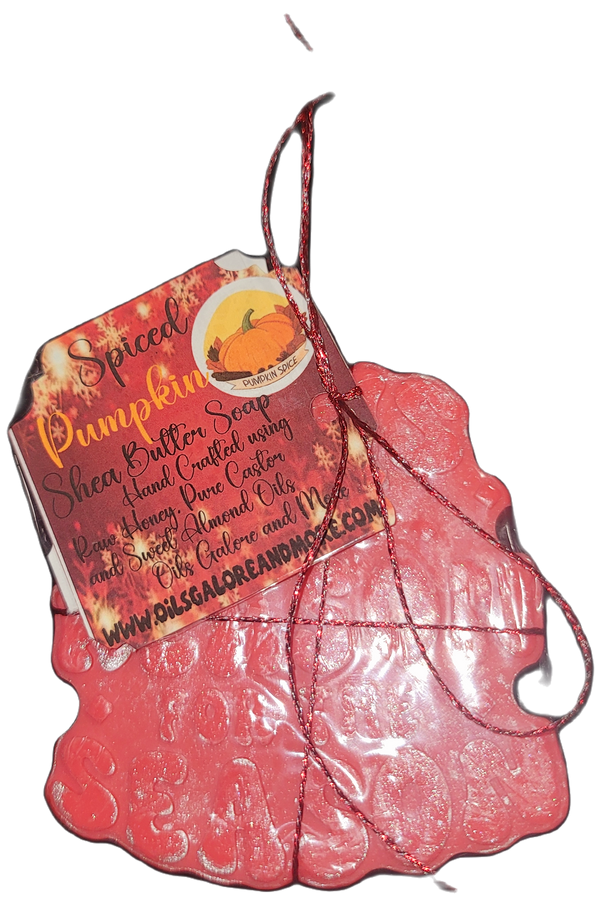 Spiced Pumpkin  Holiday Hand Soap Set #1