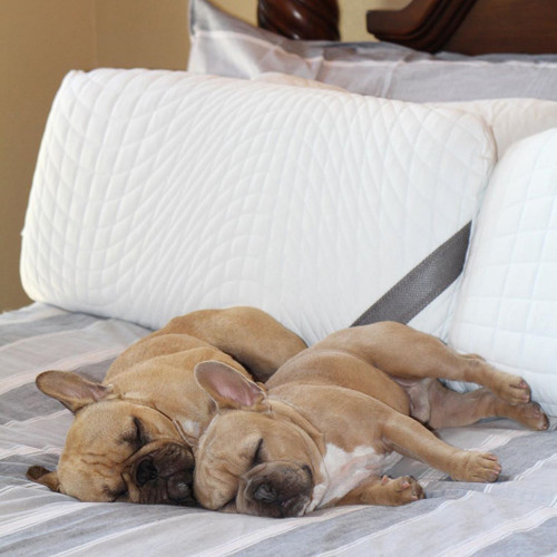 perfect cloud pillow