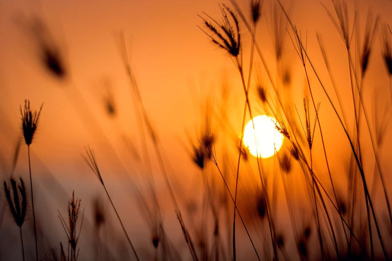 8 Ways to Sleep With Ease During Heatwave 8 Ways to Sleep With Ease During Heatwave