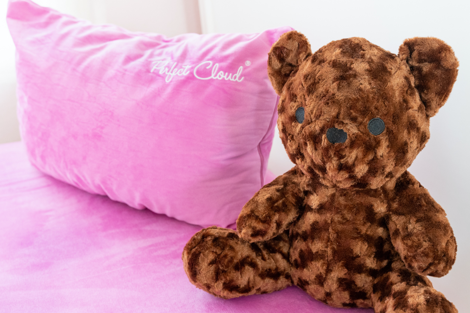 teddy bear memory foam pillow