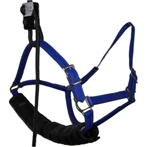 Equine Dental Halter Equine Dental Halter