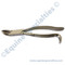 Stainless steel horse dental Wolf teeth Curved Forceps for veterinary equine dentistry