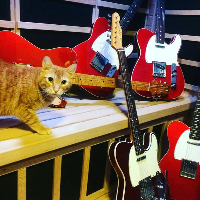 fender japan shop