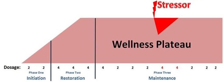 dosage-guidelines.jpg