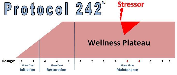 Protocol 242- Dosage Guidelines