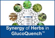 Synergy of Herbs in GlucoQuench™