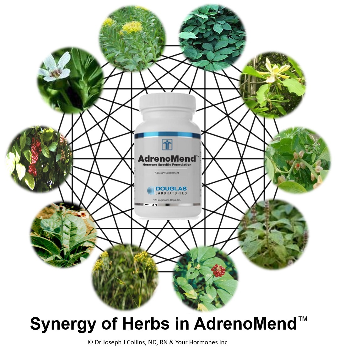 Specific Actions & Synergy of AdrenoMend™ Herbs