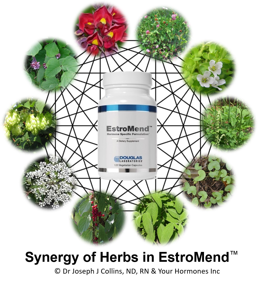 synergy-of-herbs-in-estromend.jpg