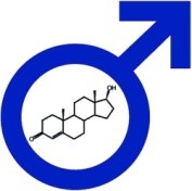 Testosterone in Men