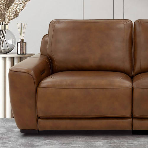Blake - L Arm Recliner P2 & ZW - Brown