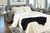 Donlen Gray Queen Sofa Sleeper Donlen Gray Queen Sofa Sleeper