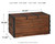 Kettleby Brown Storage Trunk