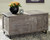 Coltport Distressed Gray Storage Trunk