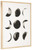 Shaydunn Black / White Wall Art Moon