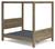 Aprilyn Light Brown Queen Canopy Bed
