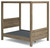Aprilyn Light Brown Full Canopy Bed
