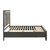 Radiance - 6/6-6/0 King/California King Storage Footboard & Slats - Black Pearl (B976K-128)