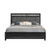 Obsidian - 5/0 Queen Bed - Black (00-1655-300)