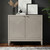 Kinsley - 2 Door Accent Cabinet - Pearl Silver