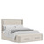Alexis - Queen Upholstered Storage Bed - Latte Essence