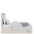 Alexis - King Upholstered Panel Bed - Latte Essence