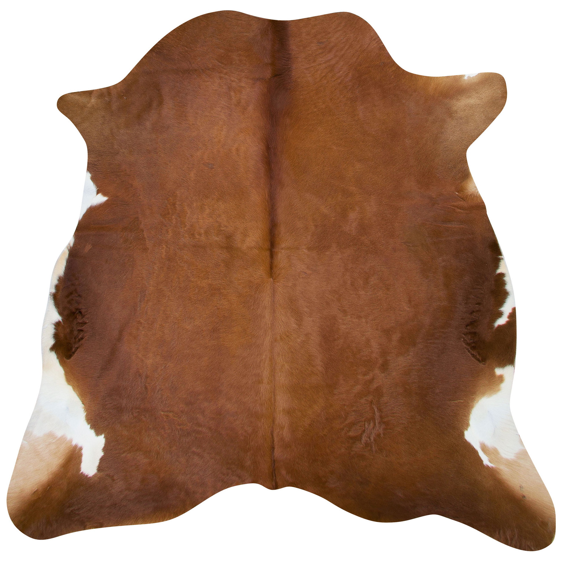 Single Colour Cowhide Rugs from cowhide rugs & furniture real cowhides