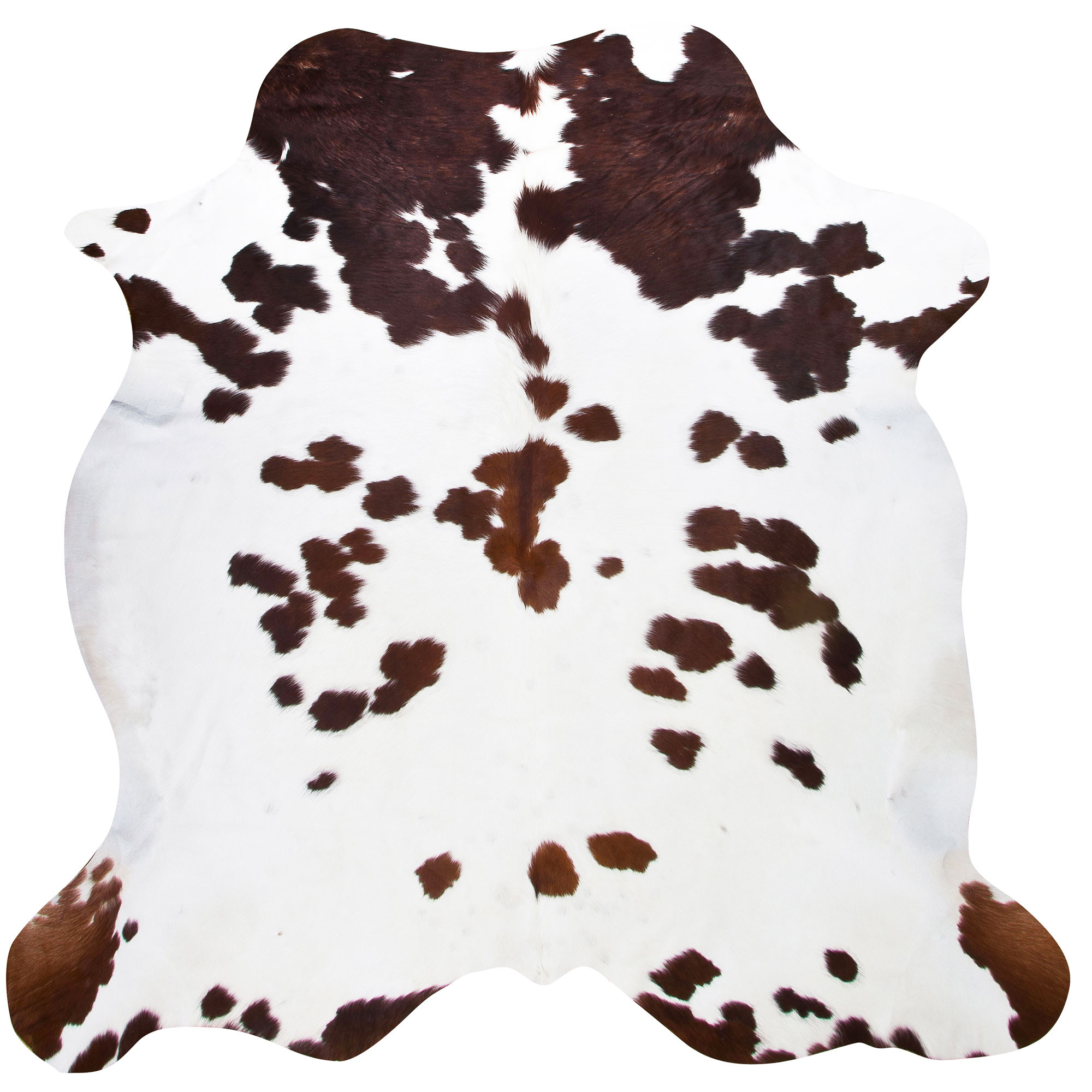 Brown and white cowhide rugs from cowhide rugs ^ furniture real cowhides