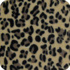 Little Leopard lining