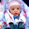 Up and Away Floral Cotton Pram Liner to fit Mountain Buggy