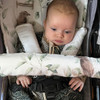 Eucalyptus with Sparrows Cotton Pram Liner to fit Redsbaby