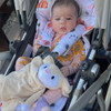 Baby Deer Cotton Pram Liner for Uppababy
