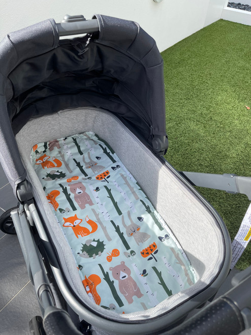 Photographed in Uppababy bassinet