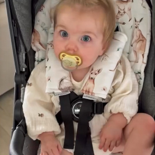 Cute Australian Animals Cotton Pram Liner