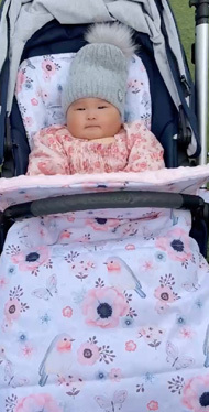 Snuggle Bags for Redsbaby Metro and Jive