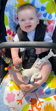 Redsbaby Onix and Nuvo pram liners