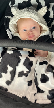 Snuggle Bags for Redsbaby Nuvo and Onix