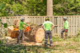 Why Standard Workwear Isn’t Enough for Chainsaw Work