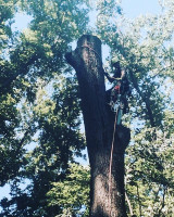 A Talk in the Trees with...Jake Riggs