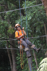 A Talk in the Trees with...Jamilee Kempton