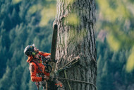 Fire-Resistant Chainsaw Pants: What U.S. Arborists Need to Know for Wildland Work