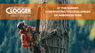 Understanding Fatigue in Arborists' Lives: More Than Just Working with Trees