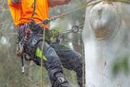 The Chainsaw Buyer’s Guide (and the Protective Gear You Need With It)