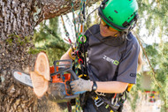 5 Chainsaw Safety Myths That Put You in the Hospital (and the Gear That Keeps You Out)