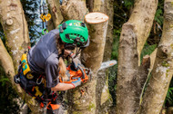 18 Top Mistakes when Choosing, Using and Caring for Chainsaw Chaps and Pants