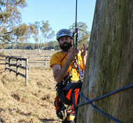 A Talk in the Trees with...Joe Harris
